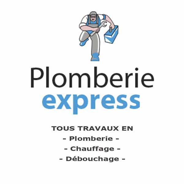 plombier chauffagiste Frisquet service express
